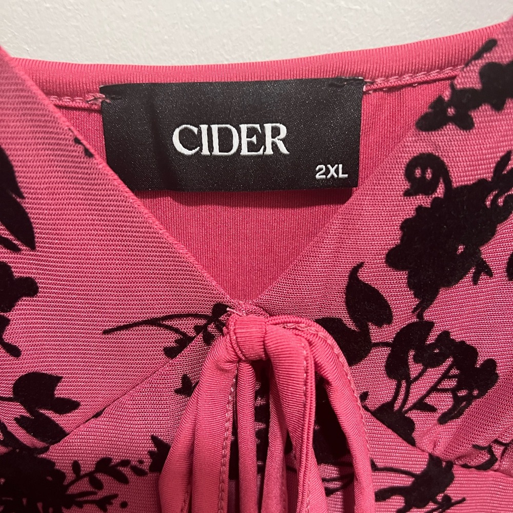NWT CIDER PINK & BLACK VELVET FLORAL DRESS - Picture 2 of 6